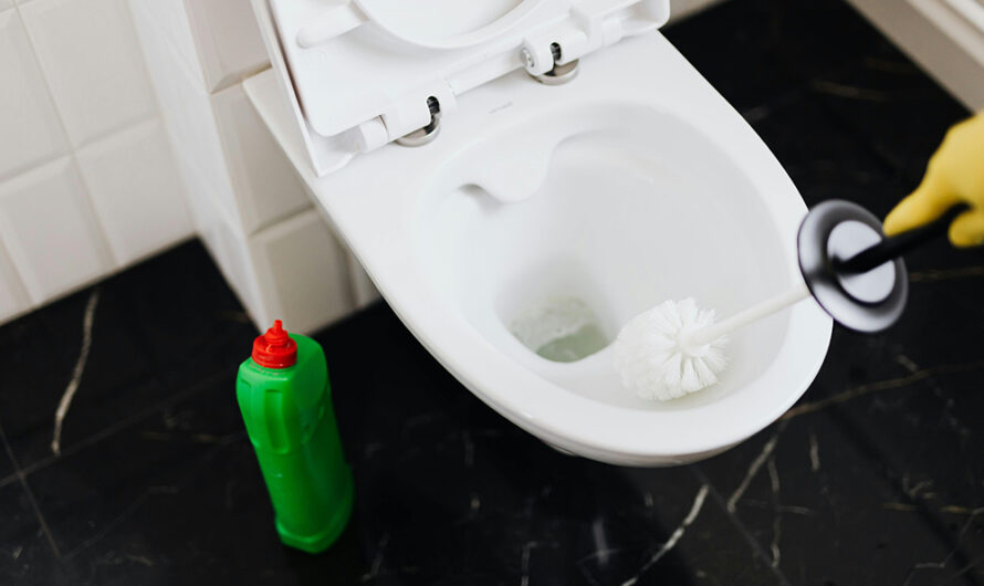 Inédit chez Action, ce produit élimine le calcaire des toilettes pour longtemps